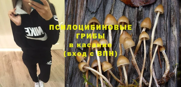apvp Пестово